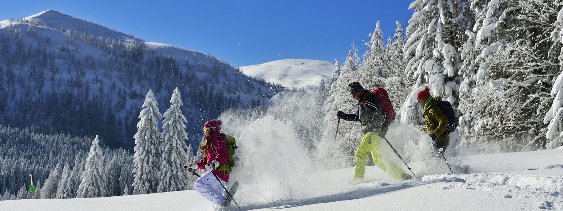 Zu jeder Jahreszeit ein Erlebnis